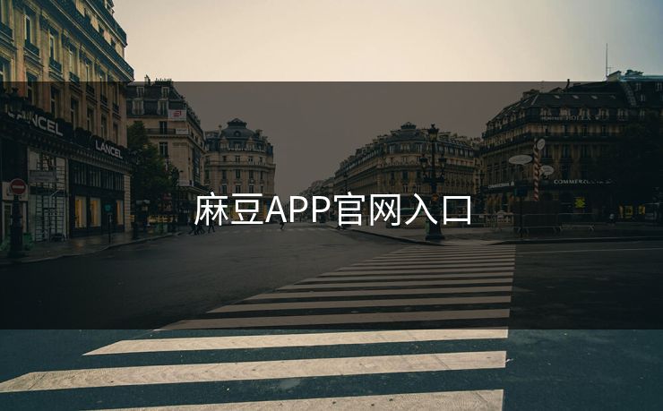 麻豆APP官网入口