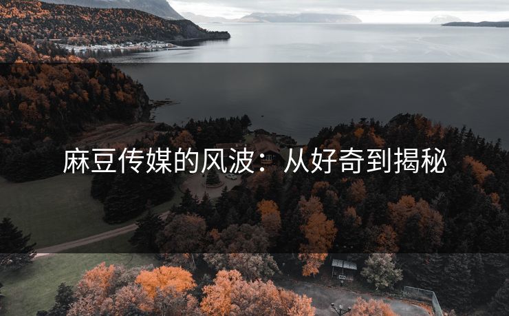 麻豆传媒的风波：从好奇到揭秘