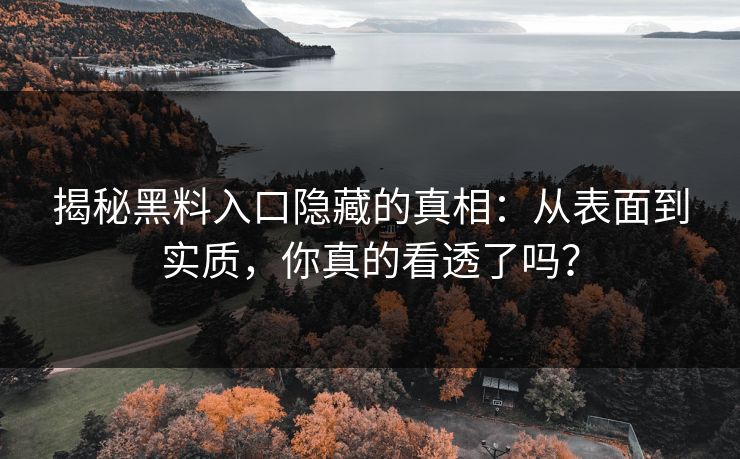 揭秘黑料入口隐藏的真相：从表面到实质，你真的看透了吗？