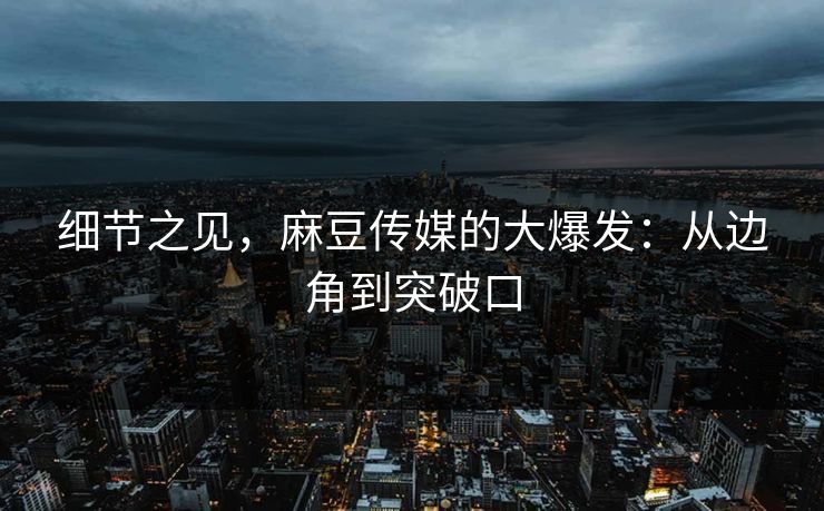 细节之见，麻豆传媒的大爆发：从边角到突破口