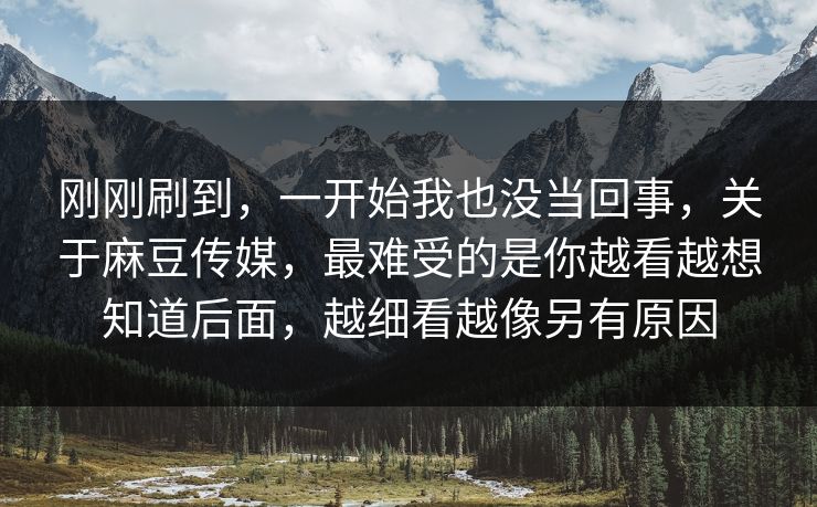 刚刚刷到，一开始我也没当回事，关于麻豆传媒，最难受的是你越看越想知道后面，越细看越像另有原因