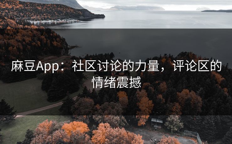 麻豆App：社区讨论的力量，评论区的情绪震撼