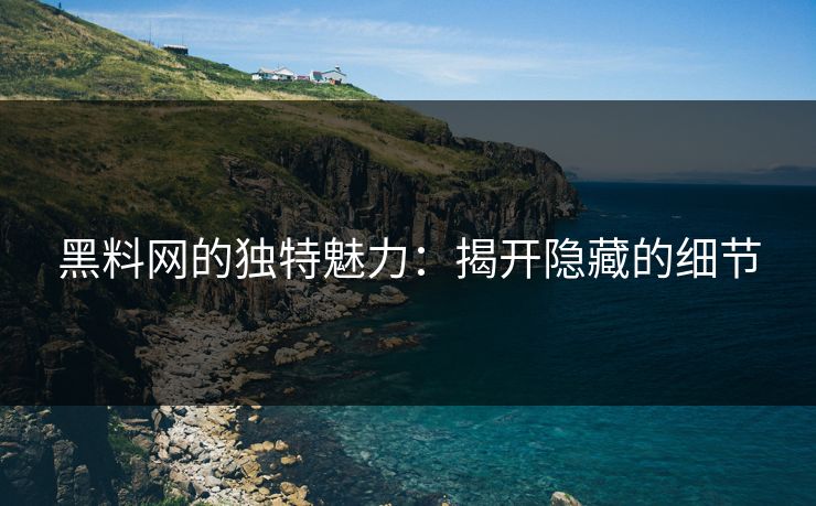 黑料网的独特魅力：揭开隐藏的细节