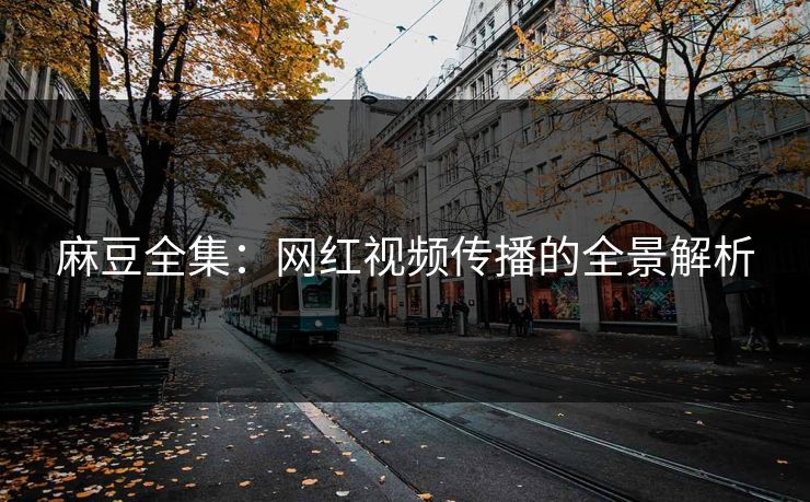 麻豆全集：网红视频传播的全景解析