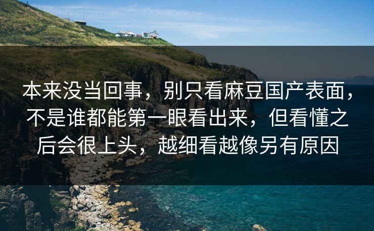 本来没当回事，别只看麻豆国产表面，不是谁都能第一眼看出来，但看懂之后会很上头，越细看越像另有原因
