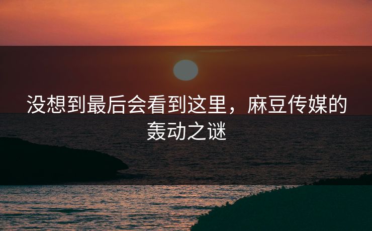 没想到最后会看到这里，麻豆传媒的轰动之谜