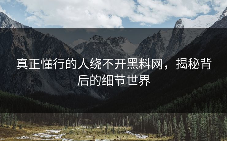 真正懂行的人绕不开黑料网，揭秘背后的细节世界