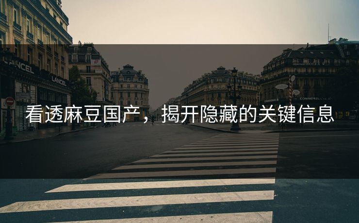 看透麻豆国产，揭开隐藏的关键信息