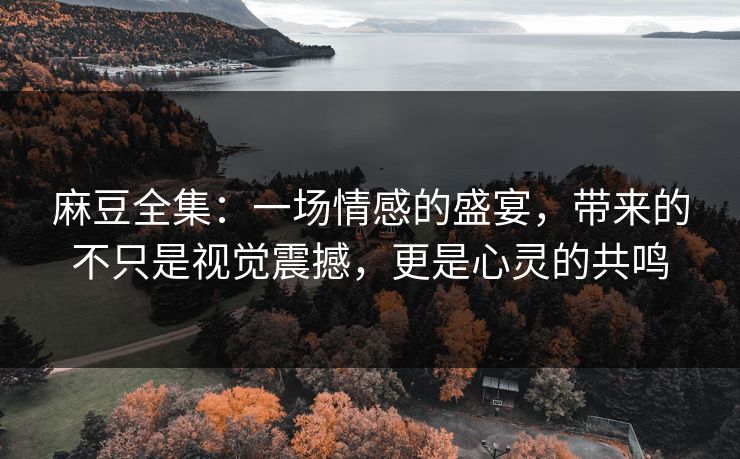 麻豆全集：一场情感的盛宴，带来的不只是视觉震撼，更是心灵的共鸣