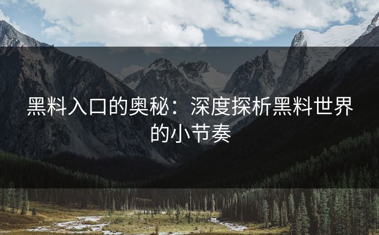 黑料入口的奥秘：深度探析黑料世界的小节奏