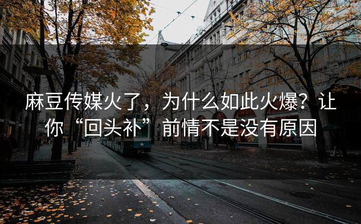 麻豆传媒火了，为什么如此火爆？让你“回头补”前情不是没有原因