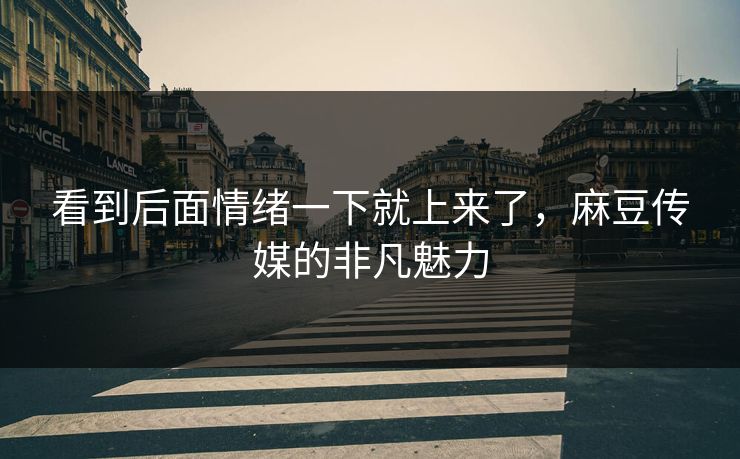 看到后面情绪一下就上来了，麻豆传媒的非凡魅力