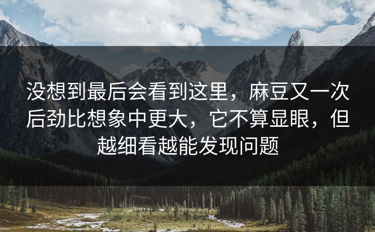 没想到最后会看到这里，麻豆又一次后劲比想象中更大，它不算显眼，但越细看越能发现问题